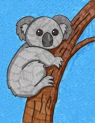Draw A Koala Art Projects For Kids In 2020 Koala Drawing Art Projects Kids Art Projects