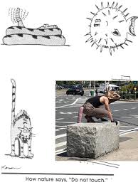 The innocent in gaols beat on their bars together. How Nature Says Do Not Touch Meme