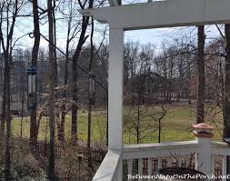 Check out our swing bird feeder selection for the very best in unique or custom, handmade pieces from our feeders & birdhouses shops. Install A Long Swing Arm Hook For Hanging Plants Or Bird Feeders Between Naps On The Porch