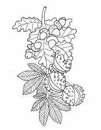 tipss und vorlagen fall coloring pages for kids coloriage contour de chat