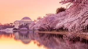 The district is under the exclusive jurisdiction of the united states congress and is therefore not a part of any u.s. Ejisrzlmj4q3nm