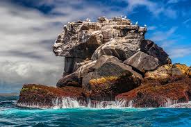 The amount of this entrance fee depends on the age and nationality of the tourist. Best Time Of Year To Visit The Galapagos Islands Kimkim