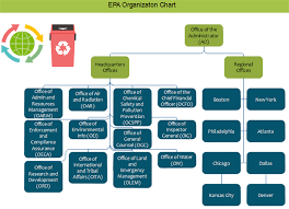 epa org chart examples editable and free to download org