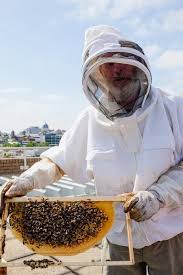 Check spelling or type a new query. Biosecurity And The Beekeeper Pursuit By The University Of Melbourne