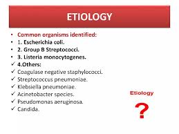 Image result for Neonatal Sepsis