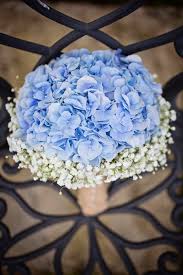 Blue Hydrangea And Baby S Breath Bouquet Blue Wedding Bouquet Hydrangeas Wedding Blue Wedding Flowers