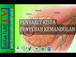 Youtube Penyakit