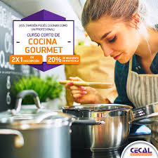 Cocina singer florencia recta flor 5518f multigas 4 hornallas gris puerta con visor. Cecal Cordoba Curso Corto Cocina Gourmet Animate A Facebook