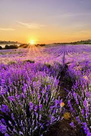 Pin On Amazing Pictures