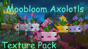 Give your axolotls some style with this fun texture pack for all versions of minecraft bedrock. Moobloom Axolotl Texture Pack Download In Description Minecraft Bedrock Youtube