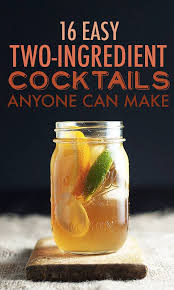 Do you want to prepare your own cocktails? 16 Two Ingredient Cocktails Anyone Can Make