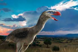 Maybe you would like to learn more about one of these? The Menacing Reign Of The Terror Birds Earth Archives
