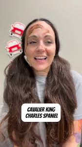 I'm pretty sure I'm gonna nail this costume for Halloween this year! 😆🐾  These are the things my sister sends me! #shihtzumom #hilarious  #halloween2025 #sogood