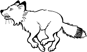 Click on any picture of motorcycles to start coloring. Free Coloring Pages Of Fox Racing Deliyazar Com Coloring Home