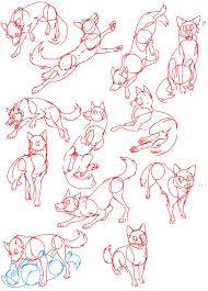 Canine Poses Animal Drawings Art Reference Photos Wolf Sketch