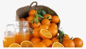 We did not find results for: Naranja Orange Kawaii Cute Sweet Tierno Adorable Dulce Cute Faced Food Png Image Transparent Png Free Download On Seekpng