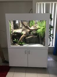 Https Www Facebook Com Scalesandtailscre Reptile Terrarium Snake Terrarium Bearded Dragon