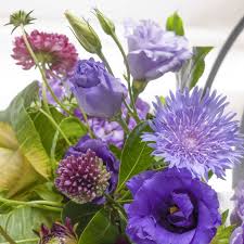 Maybe you would like to learn more about one of these? Robin Wood Flowers Home Facebook