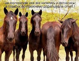 Смешные и прикольные поздравления коллегам с днем бухгалтера. Den Buhgaltera Pozdravleniya
