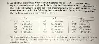 Solved 4 An Hir Strain Is Produced When F Factor Integra