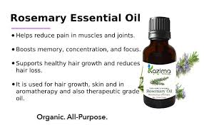 As a result, it could prevent hair follicles from being starved of blood supply,. Buy Kazima Combo Of Rosemary Oil And Peppermint Oil For Hair Growth Skin Care Each 15ml With Dropper 100 Pure Natural Oil Online At Low Prices In India Amazon In