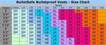 bulletsafe bulletproof vest brand new level iiia vest