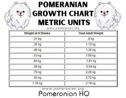 Mar 27, 2020 · puppy weight calculator metrics pounds and ounces are the united states and imperial customary weight measurements. Pomeranian Weight Chart