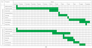 Image result for Laggera crispata