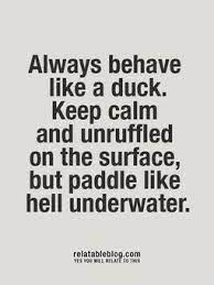 If criticism or something similar is like water off a duck's back to somebody, they aren't affected by it in the slightest. Pin By Janalynn Walker On Words Of Wisdom Words Quotable Quotes Sayings