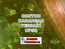 Dapatkan himpunan terbaik contoh karangan berserta latihan di sini. Contoh Karangan Terbaik Upsr Sumber Pendidikan