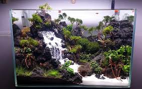 Aquascape Aquascaping Aquarium Fishtank Aquaticplants Waterfall Fish Videos Aquascaping Aquarium Air Tawar Planted Aquarium