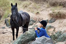 Quicker stride and what i call a rising walk. Here S Everything Coming To Netflix In June In 2021 Free Rein Free Rein Tv Show Cute Horses