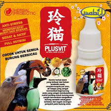 Ini anakan cucakrowo umur 7hari sama anakan wambi umur 5 hari Jual Plusvit 15ml Vitamin Burung Murai Kacer Anis Poksay Wambi Hwamei Anis Di Lapak Df Shama Bukalapak
