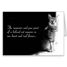 And grant me the courage. Cat Sympathy Poems Quotes Quotesgram