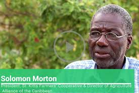 Agriculture sector not as vibrant as it should be