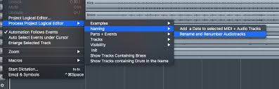 For example, if i set this snap pull down menu to bar, i can move this tambourine track one bar forward or backward. Manage Tracks In Cubase With Project Logical Editor