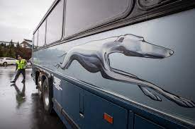 Some currently operate as subsidiaries such as voyageur, grey goose, and pmcl. Greyhound Canada To Cut All Routes End Operations Citynews Toronto
