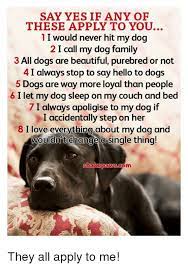 Describing someone as a hit dog in the context of a hit dog will holler has been evidenced as far back as the 1880s. Say Yes If Any Of These Apply To You 1i Would Never Hit My Dog 2 I Call My Dog Family 3 All Dogs Are Beautiful Purebred Or Not 4 I Always