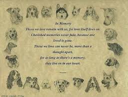 Maybe you would like to learn more about one of these? So True Pet Memorials Dog Poems Pet Sympathy