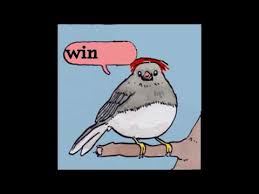 Annoyed Bird Know Your Meme