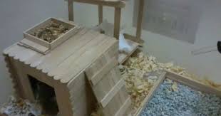 How to make popsicle stick house for rat, miniature hamster house, diy crafts ◇ donate me : Popsicle Stick Creation Hamster Central Hamster Diy Hamster Toys Diy Hamster Toys