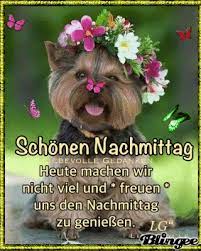 Einen schonen nachmittag bilder gif animiert kostenlos cat drawing cats and kittens cat art : Auch Wenn Es In Stromen Regnet Wollen Wir Den Nachmittag Geniessen Sonntagsgrusse Bilder Grusse Sonntagsgrusse
