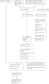 advocacy interventions to reduce or eliminate violence and