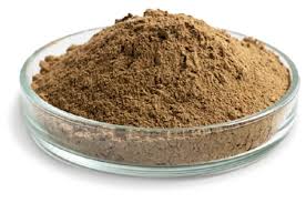 Caribsea Laminaria - CaribNP