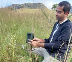 Image result for Habenaria nyikana