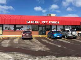 If you can't adopt snow fox please share this video so she has a chance at finding his forever home Global Pet Foods Dieppe Nb Pet Supplies