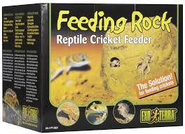 Exo Terra Reptile Cricket Feeder Bearded Dragon Care Reptiles Bearded Dragon