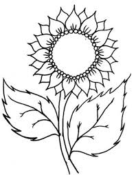 Besar, biasanya berwarna kuning terang. Ruang Ilmu Mewarnai Bunga Matahari Gambar Sketsa Bunga Matahari Bunga Cantik Dengan Warna Menarik Gambar Mewarnai Bunga Matahari Sungguh Menarik Untuk Diwarnai Selain Bentuknya Yang Indah Warnanya Pun Sungguh Cantik