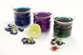 Buterfly Tea Ecosia In 2020 Butterfly Pea Flower Butterfly Pea Flower Tea Flower Tea