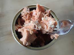 In 2017 as the leading sustainable and ethical tuna brand in the u.s. Wild Planet Tuna Sustainably Delicious Real Food Traveler